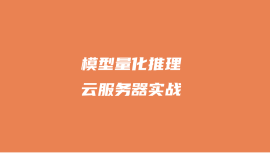模型训练、量化推理原理及实战